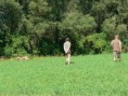 /album/rozhodci-/a487376-10151053664603447-1771900551-n-jpg/